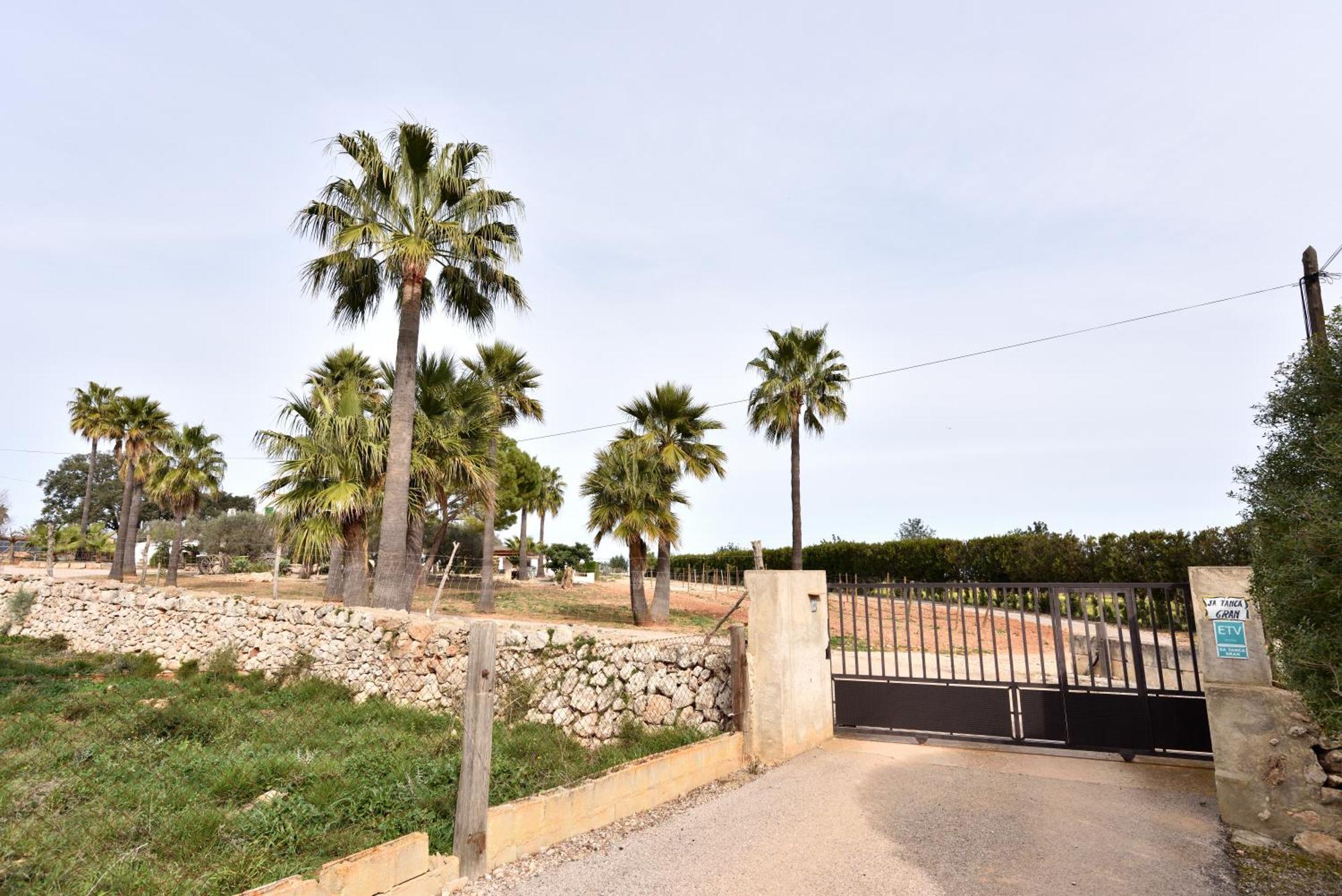 Sa Tanca Gran Villa Sineu  Ngoại thất bức ảnh